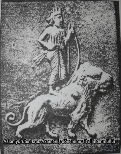 axameniş aslan yürütme